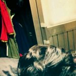 이거 김지웅 과거인가보네 ㅋㅋㅋ