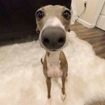 [댓글부탁해] 이거 내가 <b>무례</b>한거지?ㅠㅠ