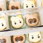아니 성한빈 장<b>하오</b> 마카롱 개귀엽네