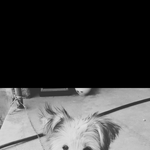 [댓글부탁해] 아까 떡볶이 ㅈㄴ 먹고 속이 너무 <b>더부룩</b>해서