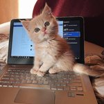 [19] 뭣도모르는 뷰티유튜버들 진짜개꼴받음