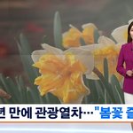 3년 만에 관광열차 재개…"노마스크 봄꽃 즐긴다"