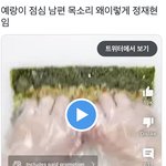 [도재정] <b>예랑</b> 목소리 ㅈㅈㅎ같은거 들어봄?