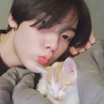 딴하랑 냥이 너무 <b>무해</b>해..