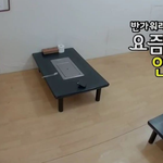 임영웅 말을 예쁘게 하네