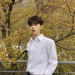 보플 보는 장<b>하오</b> 관심있는 애들있니