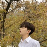 장<b>하오</b>는 미쳤다