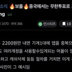 중국은 보플 무한<b>투표</b> 가능하대