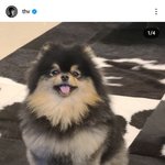 인스타 좋아요 2천만 넘은 방탄 뷔 게시물