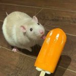 <b>번장</b> 환불했는데 입금을 안 해주셔,, 어캄