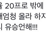 중간순위 틱톡 댓글 개 웃기네