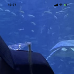 [댓글부탁해] <b>이모자</b> 어디거야