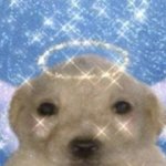 고1 3모 수학 4등급이 학급<b>석차</b> 4등인게 말이 됨?