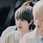 [NCT드림] 런쥔이 <b>염색</b>하니까 진짜 아기고양이같음