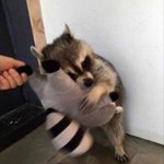 [보플] 얘들아 내가 넘 <b>예민</b>한건가ㅠ