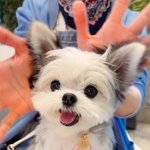 [TXT] 충격실화