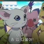 바보가 아니라
