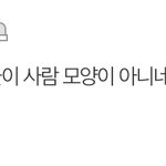 열등감 ㄹㅈㄷ네