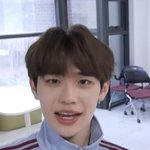 <b>바보</b>강아지