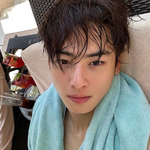 나 최<b>최차</b>차가 뭔지 이제 알았어