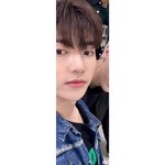 ㅈㅎㅇ 이 사진 약간