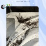 [NCT드림] 마크 <b>머리</b> 잘랏다!!!!!!