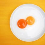 계란 <b>노른자</b>의 색깔이 중요할까요?