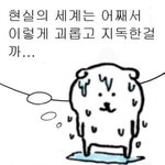 <b>과민</b>성대장증후근 개같다