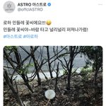 <b>문빈</b>이 마지막으로 남긴 트윗