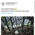 아 진짜 조카 <b>슬픔</b>