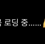 장<b>슈</b>아이보 신곡 나오나봐