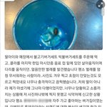 <b>롯리</b> 한 매장에서 음료에 바퀴벌레 나왔네요