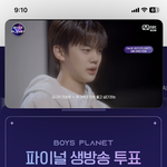 투표완