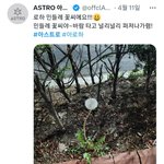 <b>문빈</b>이 마지막으로 민들레씨 얘기한 이유