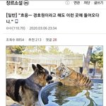너희 <b>기준</b> 남자 187 어떰?
