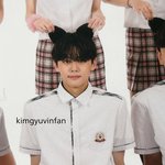 [드루와] 보플 제베원 컨셉 이건 하지 마라 ㅈㅂ