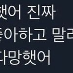 보놀 한 장 <b>요약</b>
