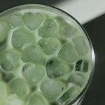 모여라 이 구역 민트색 쳐<b>돌이들</b>!