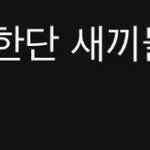 하여간 촌스러워 음악한단 <b>xx</b>들이 약빨기 바빠