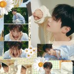 [제<b>베원</b>] 성한빈소속사 트위터에 뜬 사진봄?