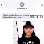 유튜브 댓글은 진짜 뭐가 문제지