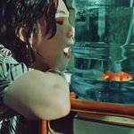나 슈가 이 금붕어짤이 왜이렇게 좋지