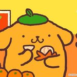 [댓글부탁해] 난 집안 반대로 혼자 <b>스카독재</b> 하는데