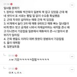 보플 <b>미나상들</b> 분위기 이랬대