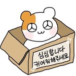 [댓글부탁해] 쿠팡 멤버십 알차게 쓰는 꿀팁 공유하자