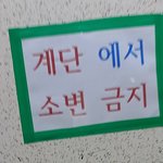 ㄹㅇ 계단에서 오줌<b>누</b>는사람이 있단말임?