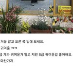 곤충이 <b>환장</b>할 귀여움이야?