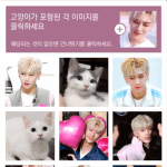 여기 루키단 있어?