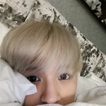 [<b>NCT드림</b>] 울 사모예드 생일축하해!!