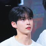 ㅅㅎㅂ <b>이사진</b> 개이쁘다